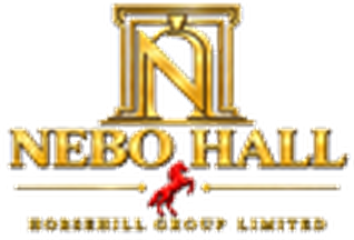 Nebo logo